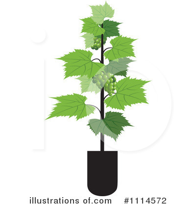 Grape Vine Clipart #1114572 by Lal Perera