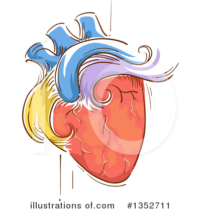 Human Heart Clipart #1352711 by BNP Design Studio