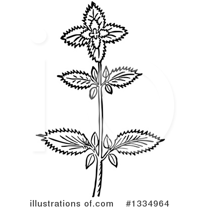 Royalty-Free (RF) Herb Clipart Illustration by Picsburg - Stock Sample #1334964