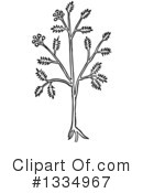 Herb Clipart #1334967 by Picsburg