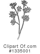 Herb Clipart #1335001 by Picsburg