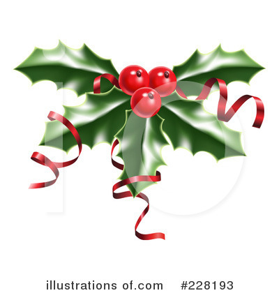 Christmas Holly Clipart #228193 by AtStockIllustration