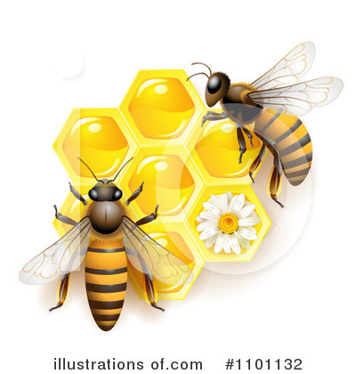 Honeycombs Clipart #1101132 by merlinul