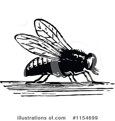 Flies Clipart #1154699 by Prawny Vintage