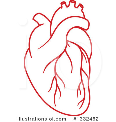 Human Heart Clipart #1332462 by Vector Tradition SM