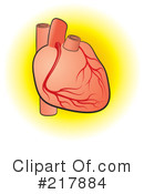 Human Heart Clipart #217884 by Lal Perera