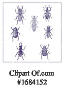 Insect Clipart #1684152 by patrimonio