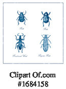 Insect Clipart #1684158 by patrimonio