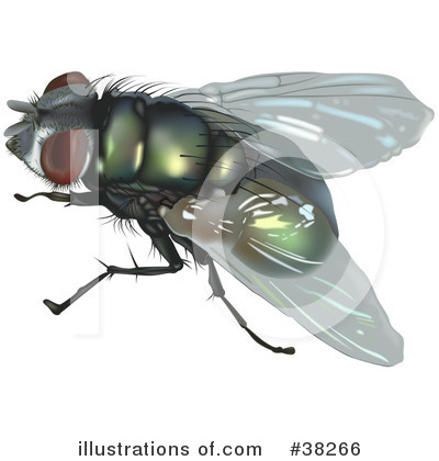 Royalty-Free (RF) Insect Clipart Illustration by dero - Stock Sample #38266