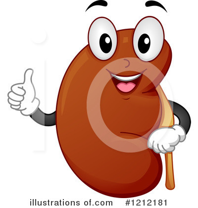 Royalty-Free (RF) Kidney Clipart Illustration by BNP Design Studio - Stock Sample #1212181