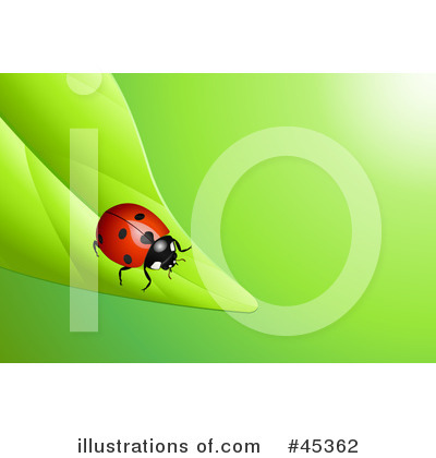 Royalty-Free (RF) Ladybug Clipart Illustration by Oligo - Stock Sample #45362