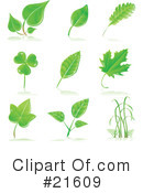 Leaves Clipart #21609 by Tonis Pan