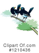 Magpie Clipart #1210436 by Lal Perera