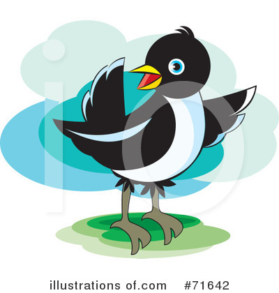 Magpie Clipart #71642 by Lal Perera