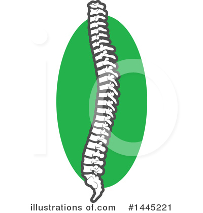 Spine Clipart #1445221 by Vector Tradition SM