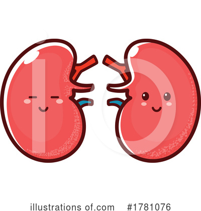 Kidney Clipart #1781076 by Vector Tradition SM