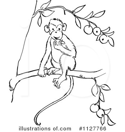 Primate Clipart #1127766 by Picsburg