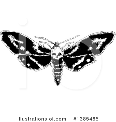 Moths Clipart #1385485 by lineartestpilot