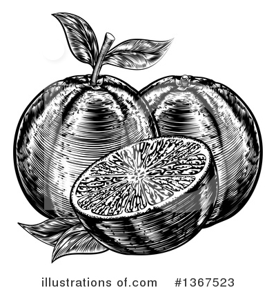 Navel Orange Clipart #1367523 by AtStockIllustration