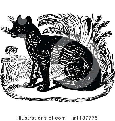 Wildcat Clipart #1137775 by Prawny Vintage