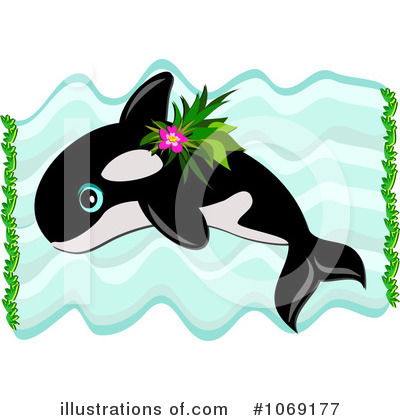 orca illustration