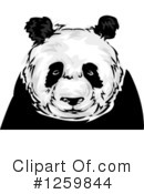 Panda Clipart #1259844 by BNP Design Studio