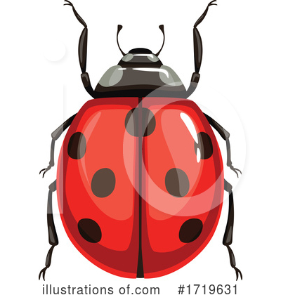 Ladybug Clipart #1719631 by Vector Tradition SM