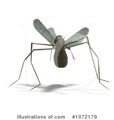 Praying Mantis Clipart #1072176 - Illustration by Ralf61