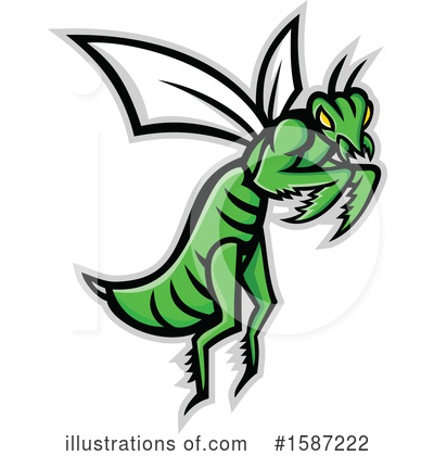 Insect Clipart #1587222 by patrimonio