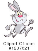 Rabbit Clipart #1237621 by Hit Toon