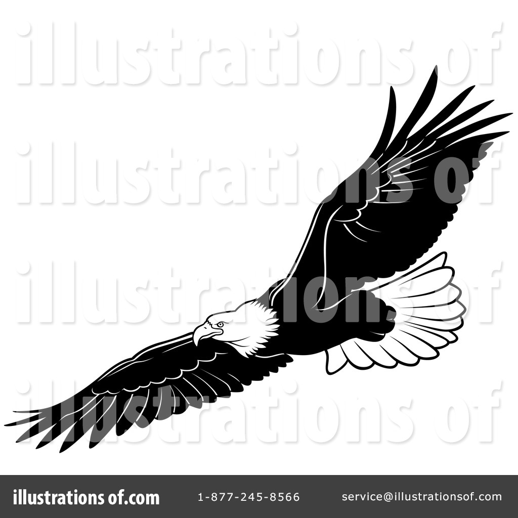 bald eagle clip art free - photo #46