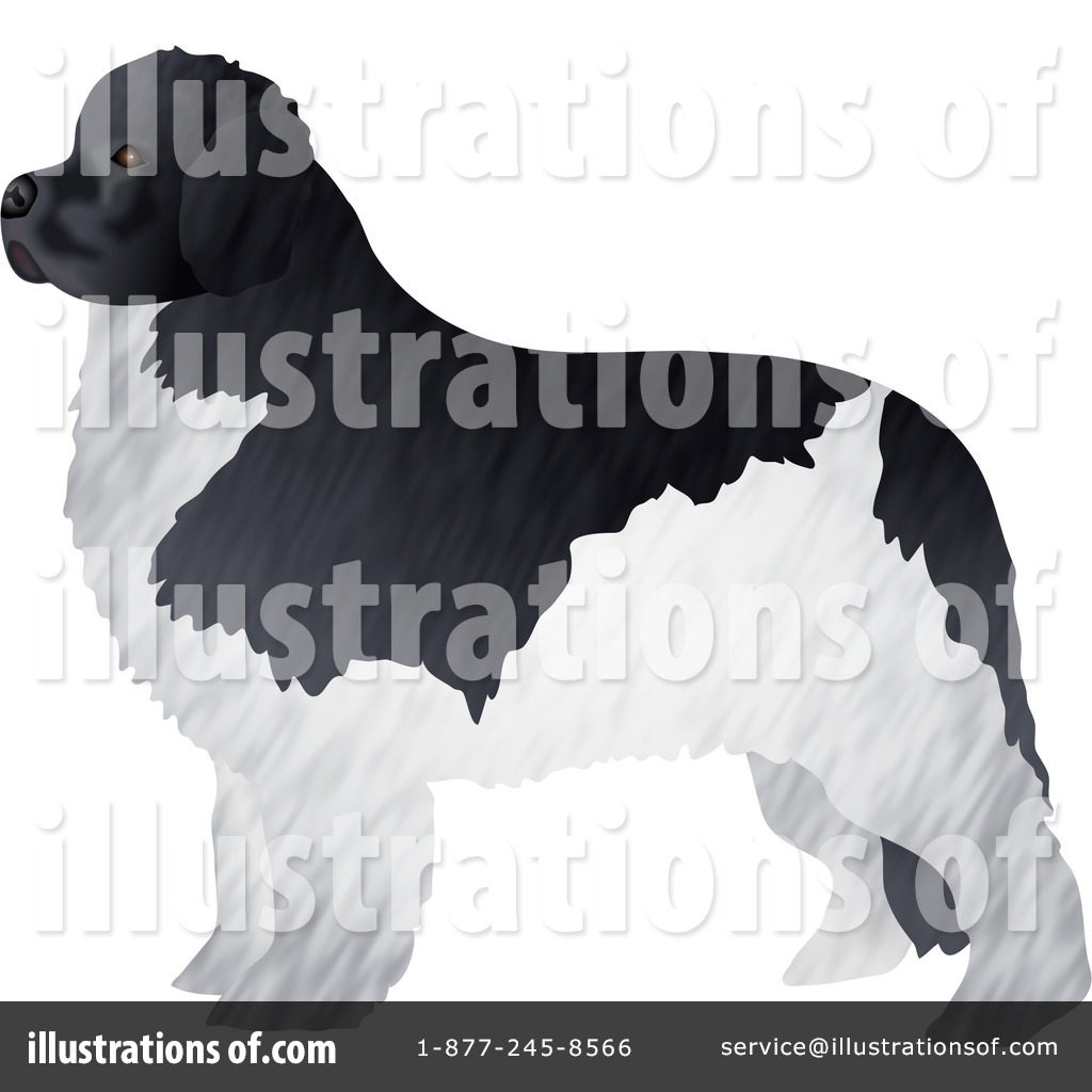 newfoundland dog clip art free - photo #50