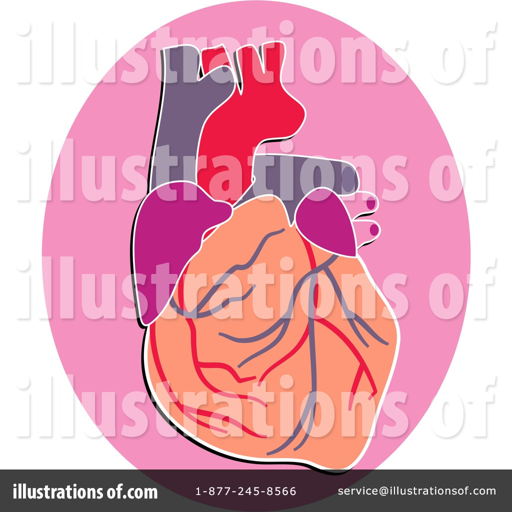 clipart of a human heart - photo #48