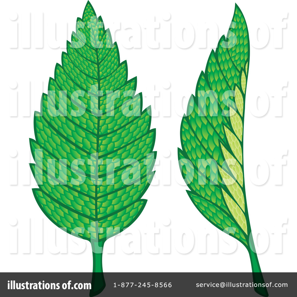 free mint leaves clipart - photo #45