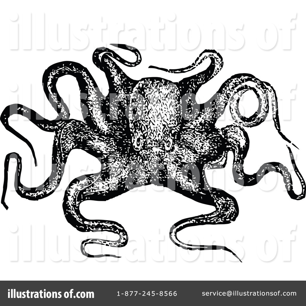 vintage octopus clipart - photo #22