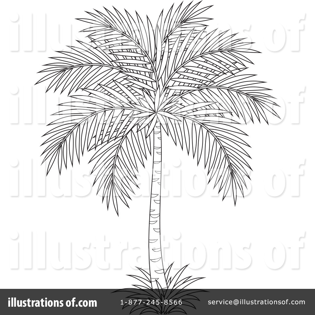 palm tree clip art coloring pages - photo #40
