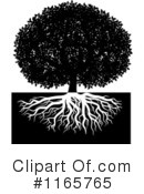 Clipart of Tree Roots #1 - 31 Royalty-Free (RF) Illustrations