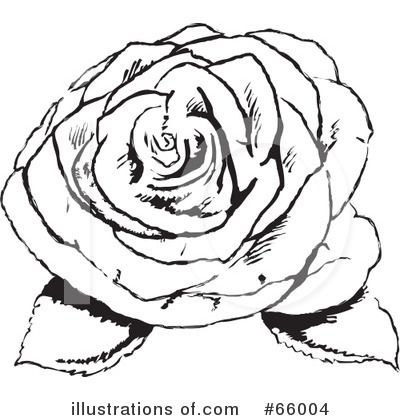 Rose Clipart #66004 by Prawny