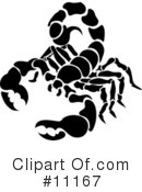 Scorpion Clipart #11167 by AtStockIllustration