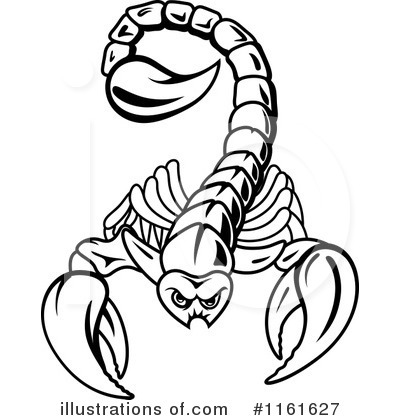 Scorpion Clipart #1161627 by Vector Tradition SM