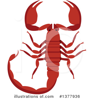 Scorpion Clipart #1377936 by Vector Tradition SM