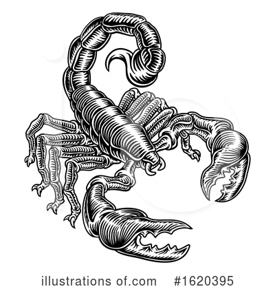 Scorpion Clipart #1620395 by AtStockIllustration