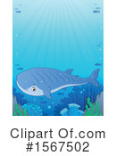 Shark Clipart #1567502 by visekart