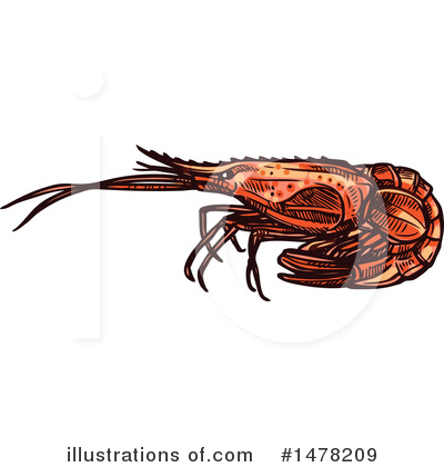 Royalty-Free (RF) Shrimp Clipart Illustration by Vector Tradition SM - Stock Sample #1478209