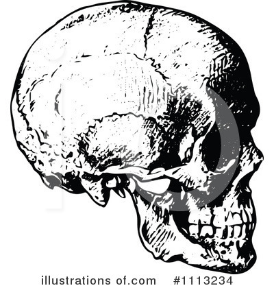 Free Skulls Clipart