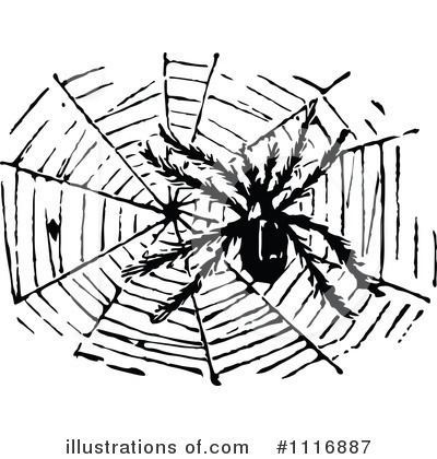 Spider Clipart #1116887 by Prawny Vintage