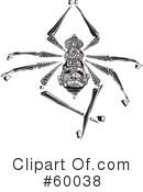 Spider Clipart #60038 by xunantunich