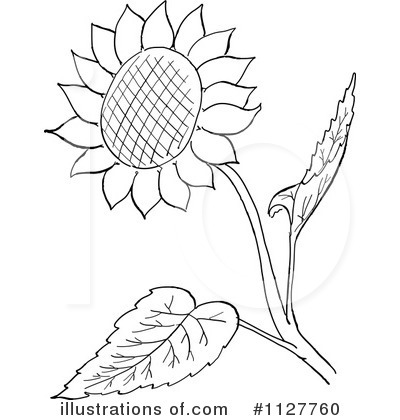 Flower Clipart #1127760 by Picsburg