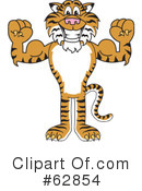 Tiger Character Clipart #62854 by Mascot Junction