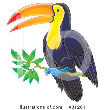 Toucan Clipart #31261 by Alex Bannykh